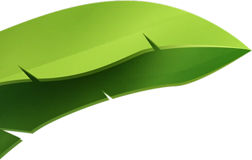 Leaf 1